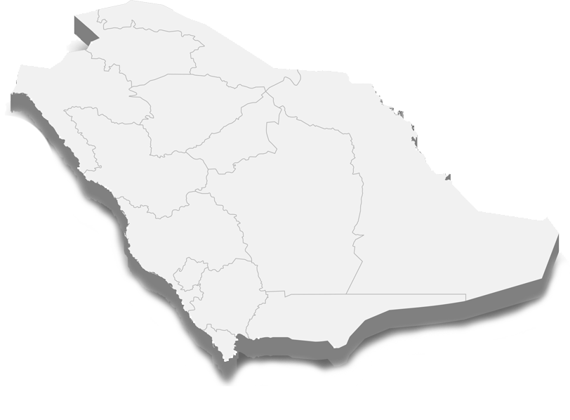 Our Branches